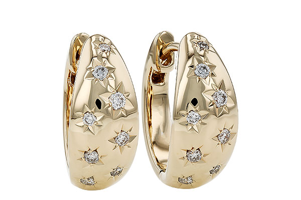 F303-36790: EARRINGS .17 TW